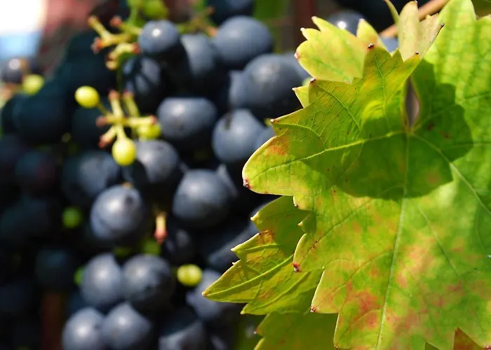 Haus Buebl Presseggersee